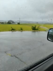 初投稿！の画像